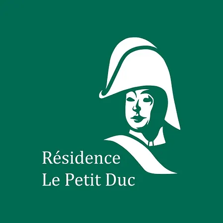 Vila Le Petit Duc Carcassonne